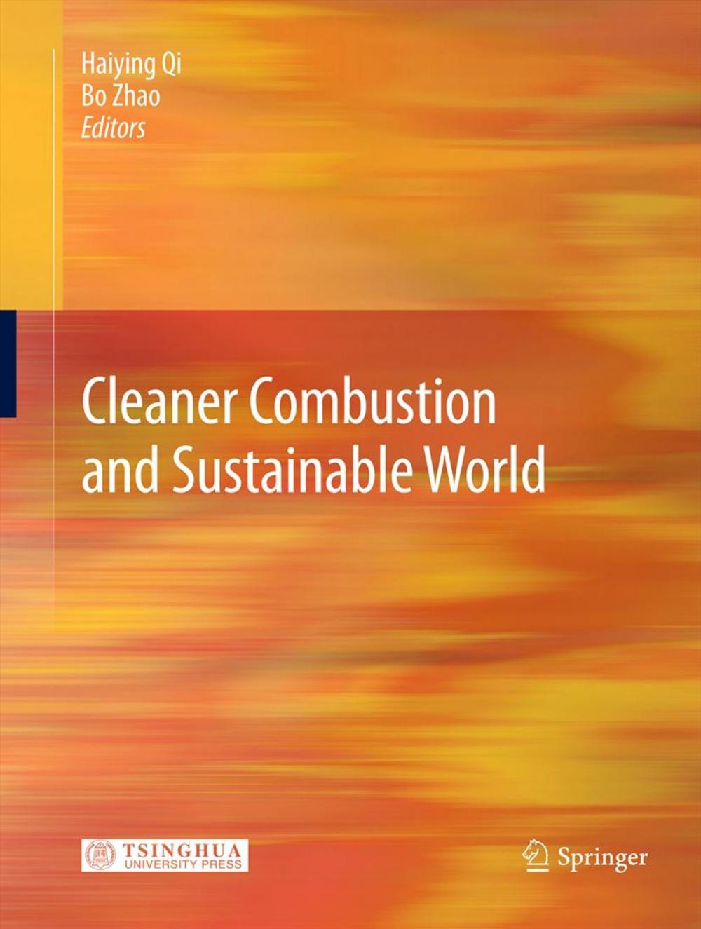 Big bigCover of Cleaner Combustion and Sustainable World