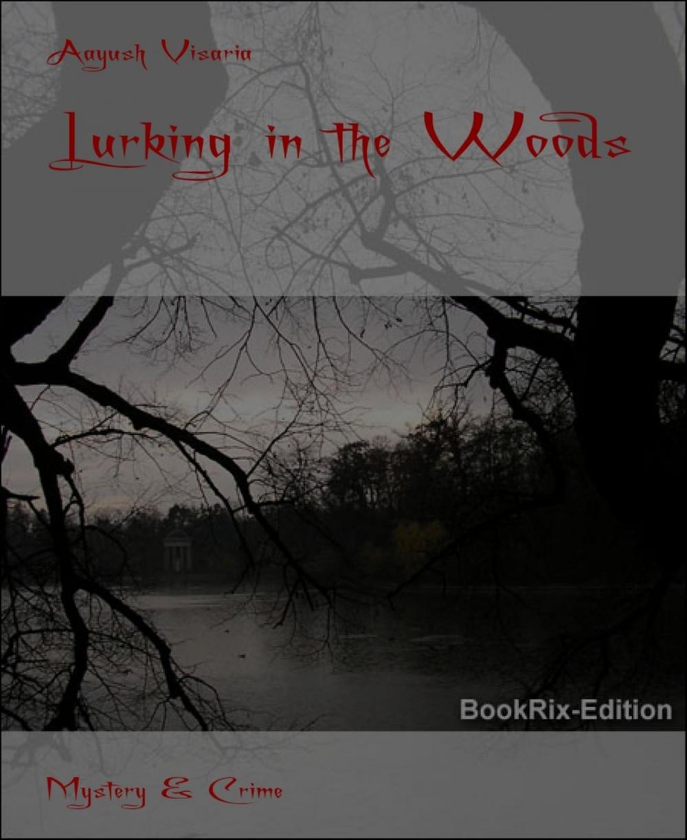 Big bigCover of Lurking in the Woods