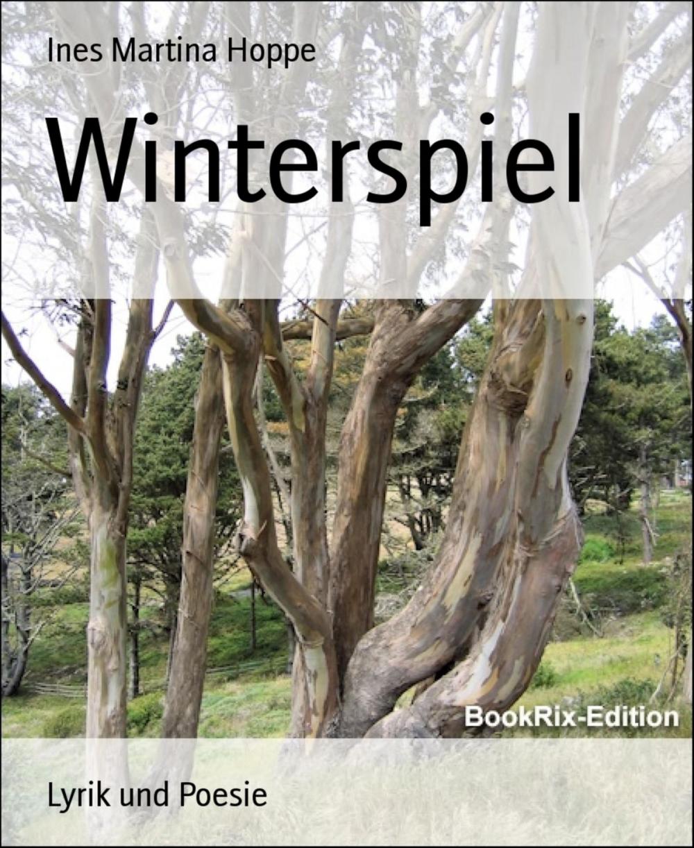 Big bigCover of Winterspiel