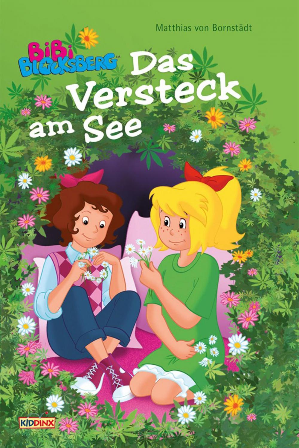 Big bigCover of Bibi Blocksberg - Das Versteck am See