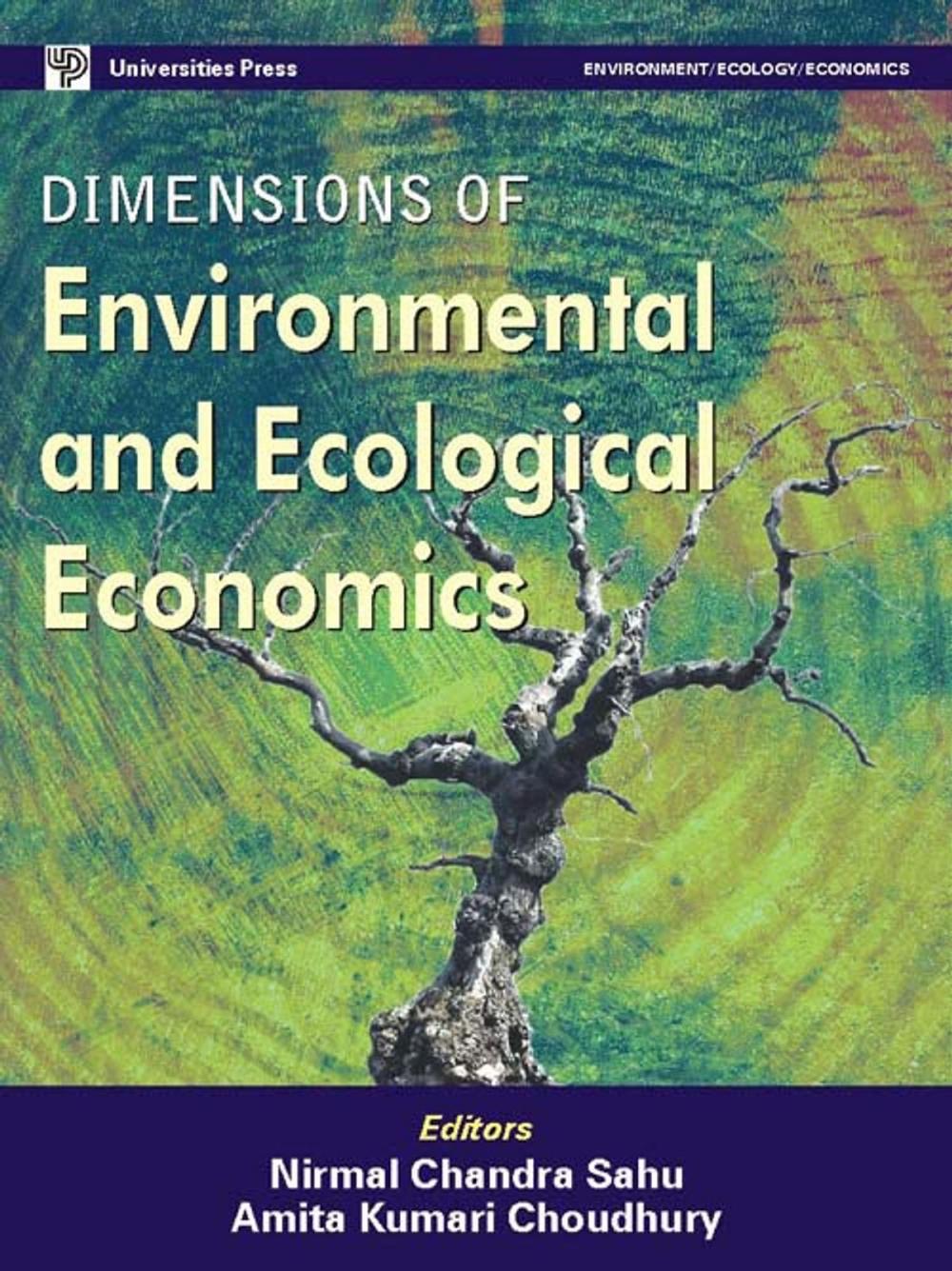 Big bigCover of Dimensions in Environmental and Ecological Economics