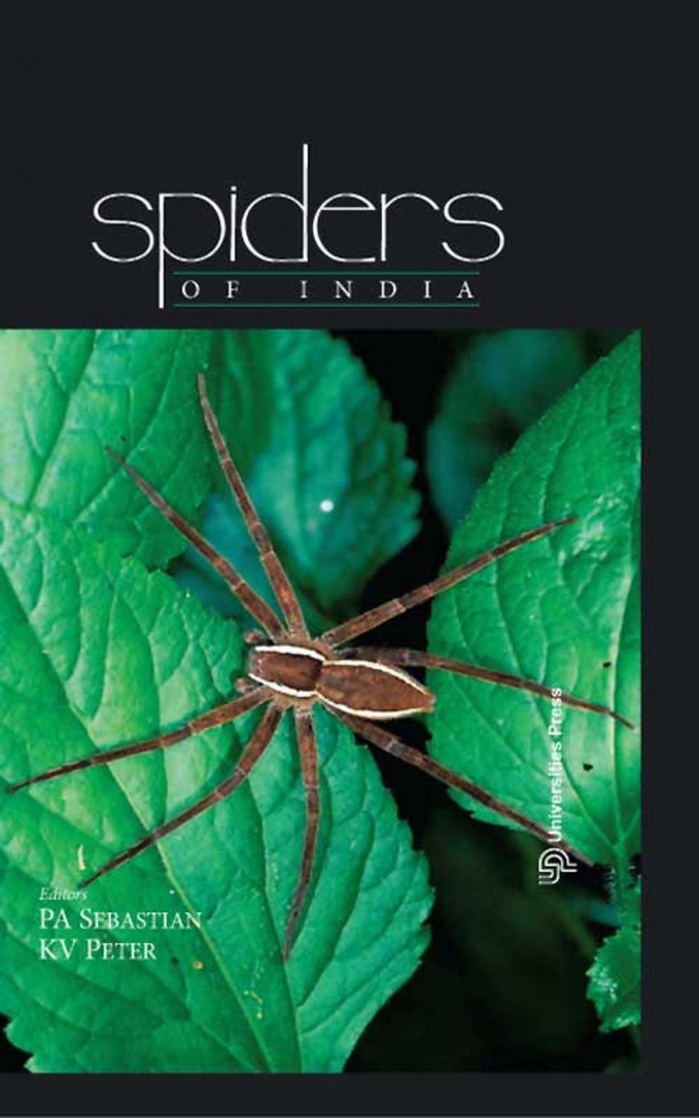 Big bigCover of Spiders of India