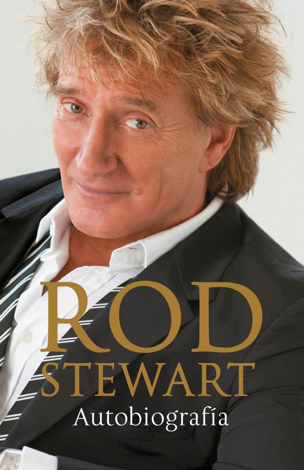 Big bigCover of Rod Stewart