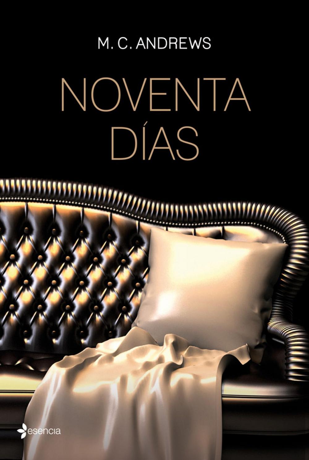 Big bigCover of Noventa días