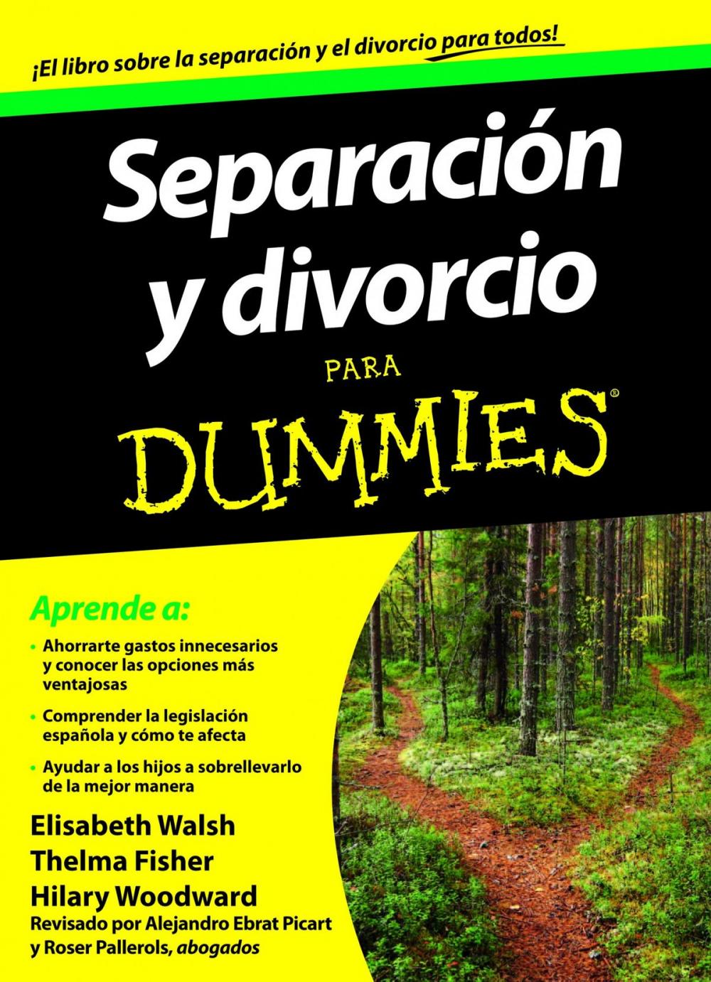 Big bigCover of Separación y divorcio para Dummies