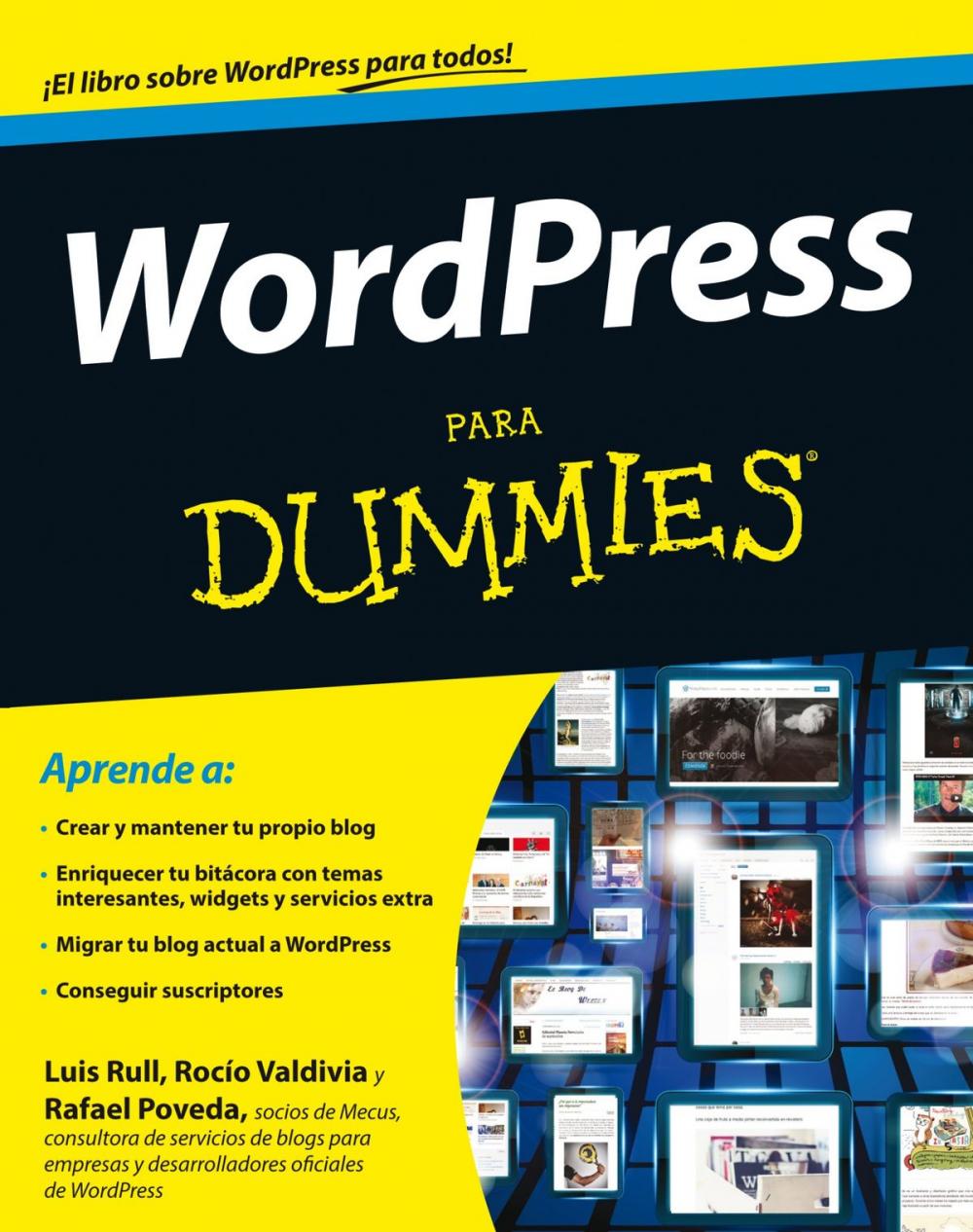 Big bigCover of WordPress para Dummies