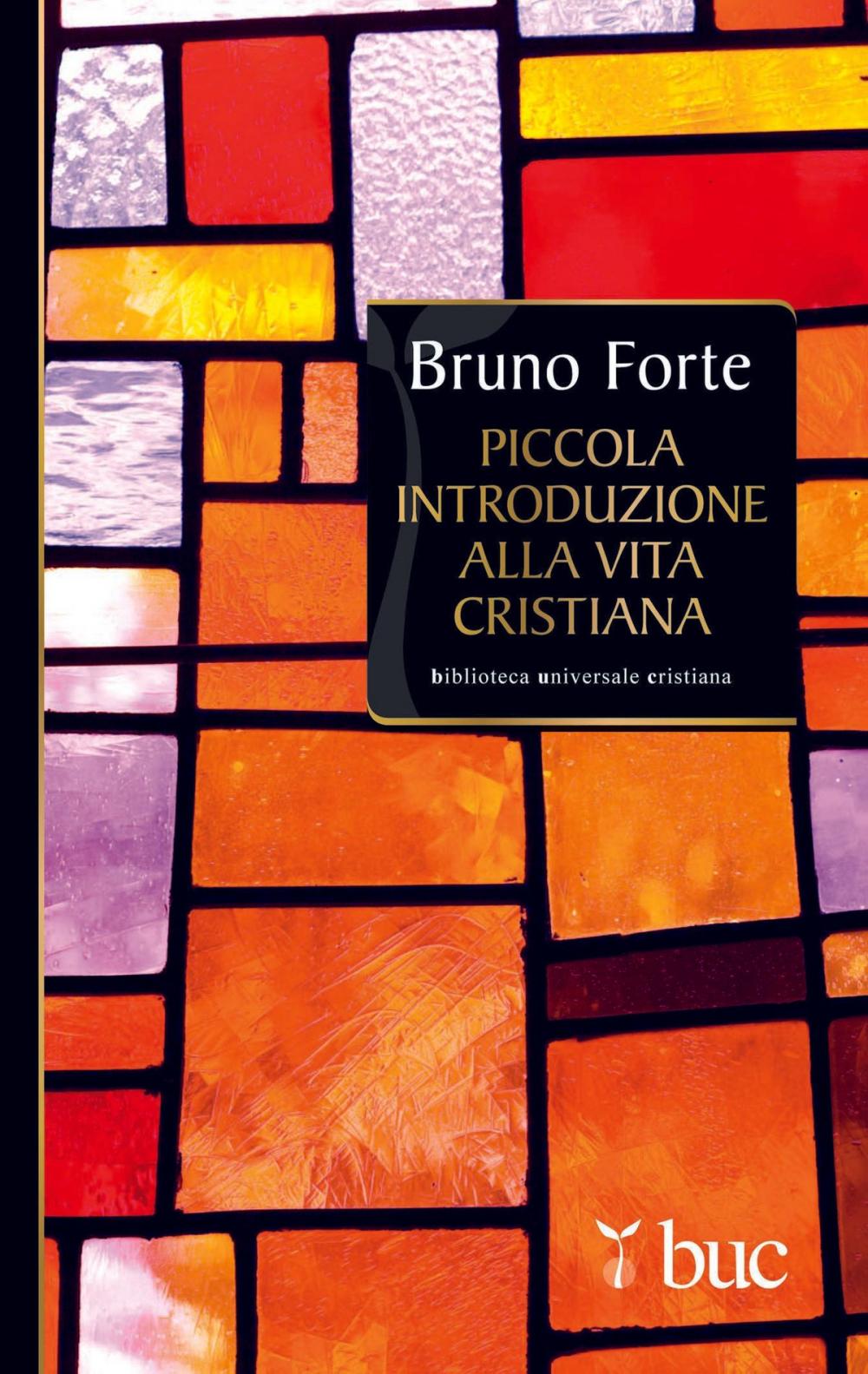 Big bigCover of Piccola introduzione alla vita cristiana