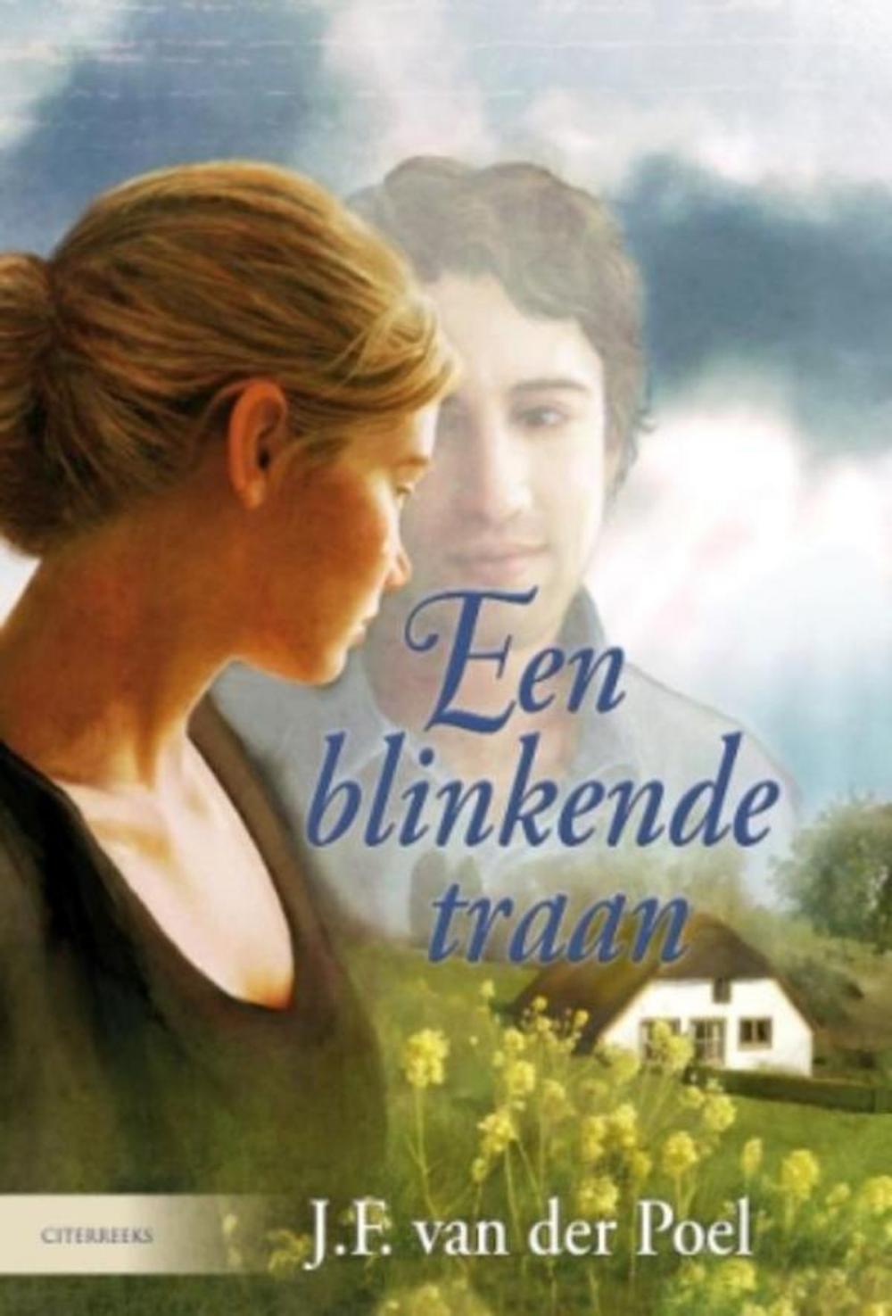 Big bigCover of Een blinkende traan