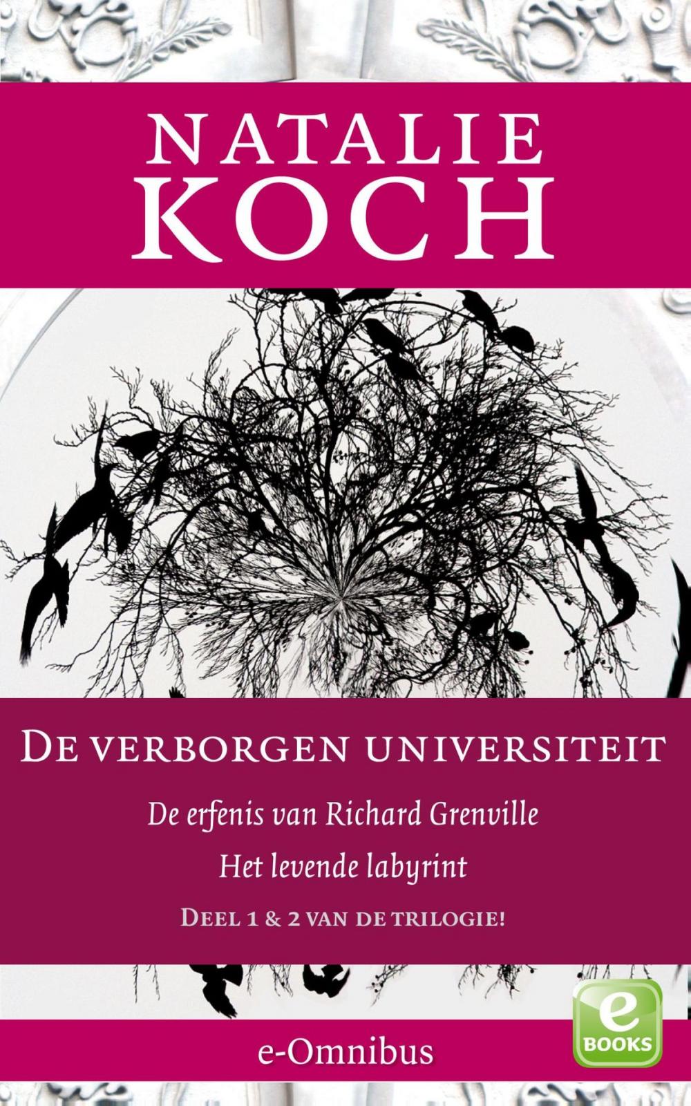 Big bigCover of De erfenis van Richard Grenville; Het levende labyrint