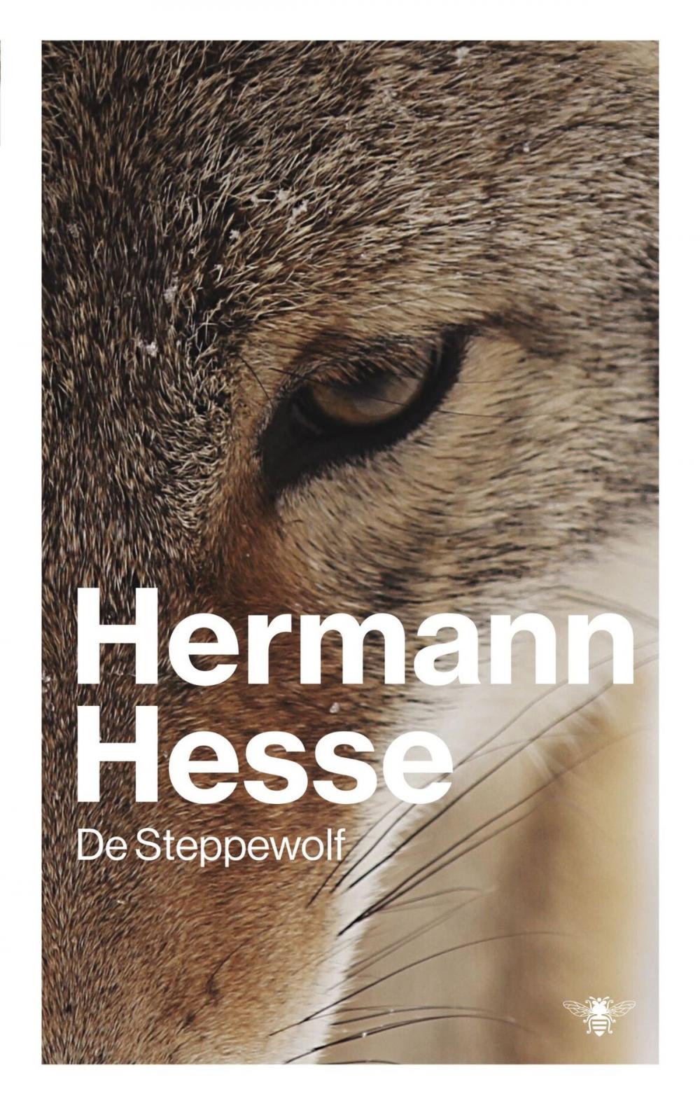 Big bigCover of De steppewolf