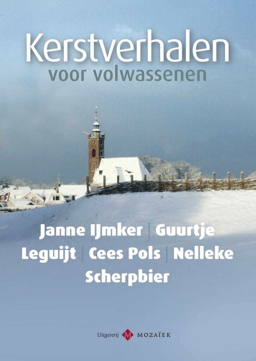 Big bigCover of Kerstverhalen voor volwassenen (1)