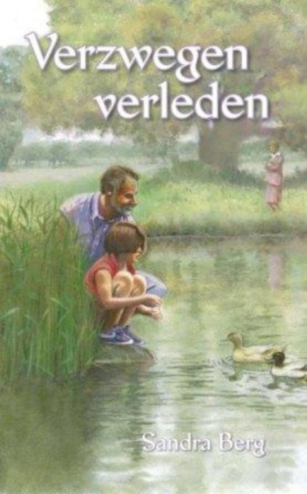 Big bigCover of Verzwegen verleden