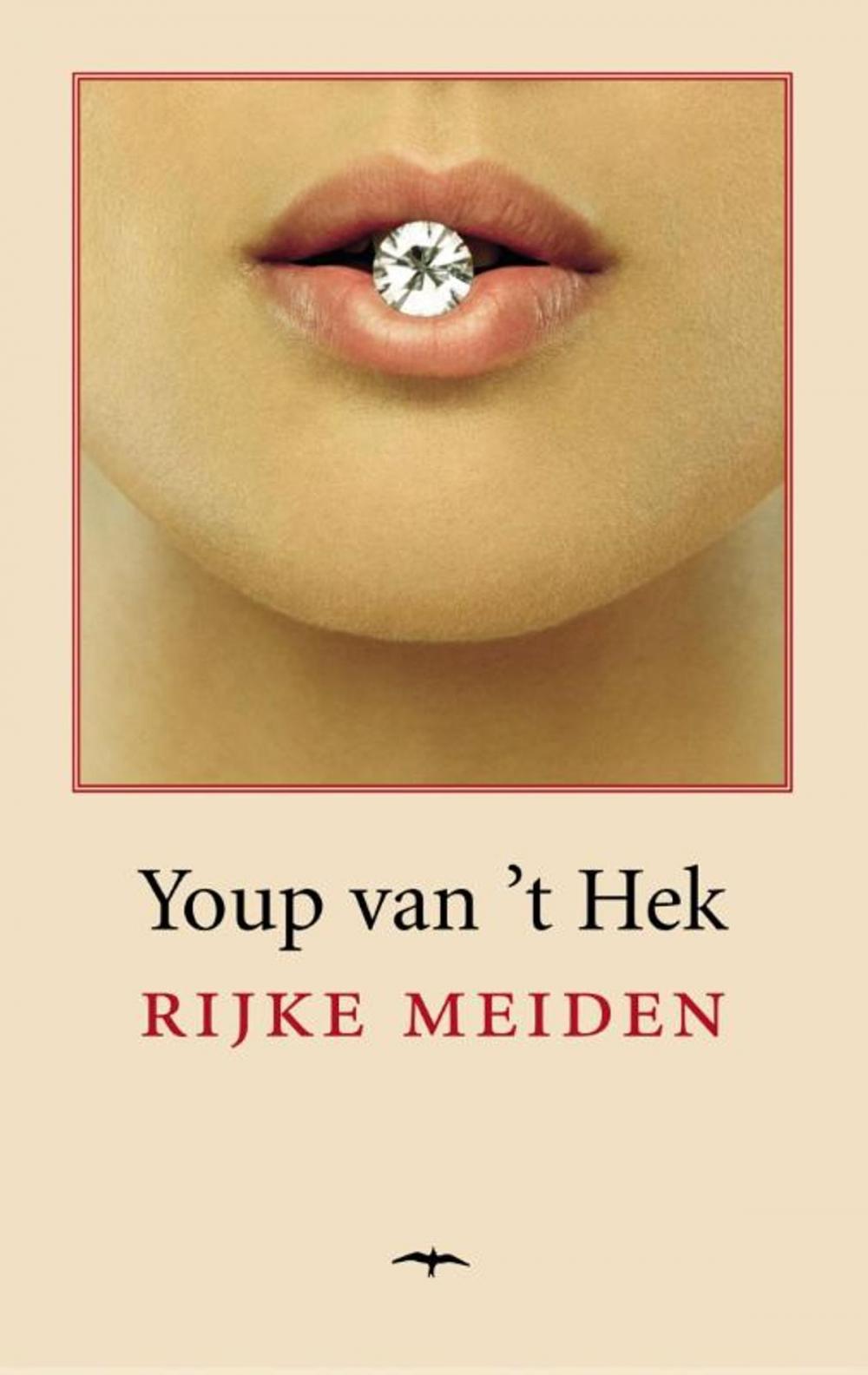 Big bigCover of Rijke meiden