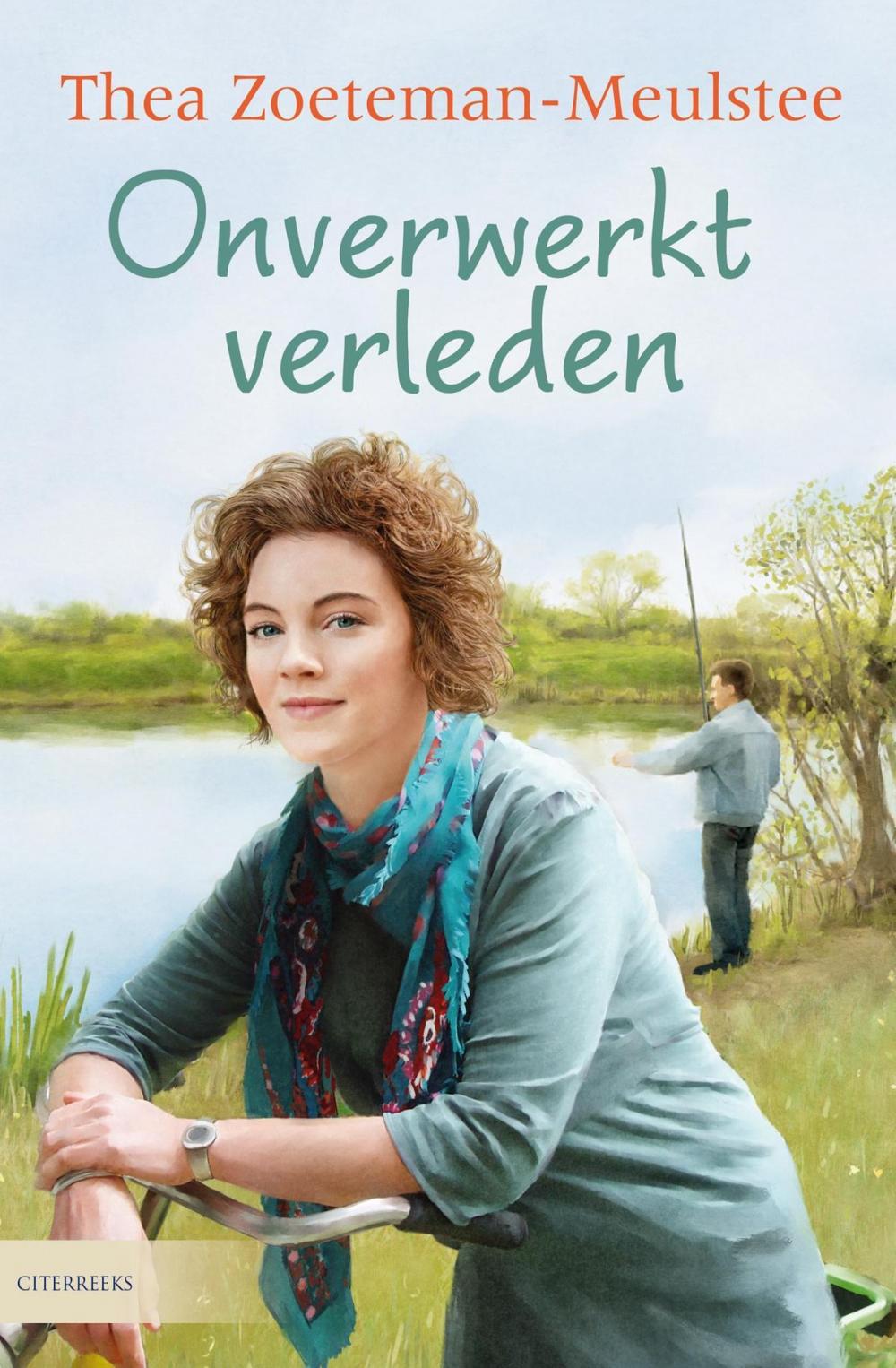 Big bigCover of Onverwerkt verleden