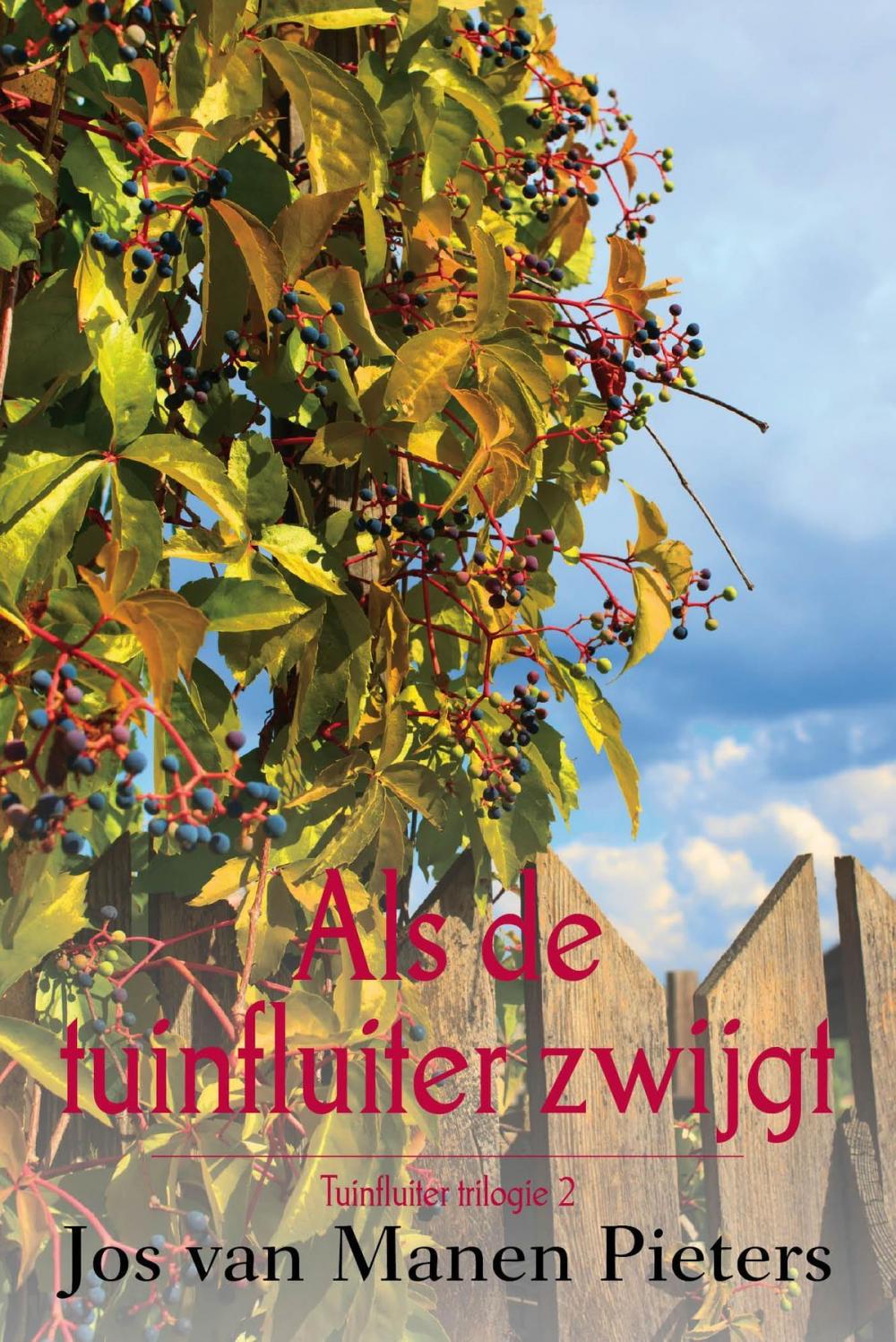 Big bigCover of Als de tuinfluiter zwijgt