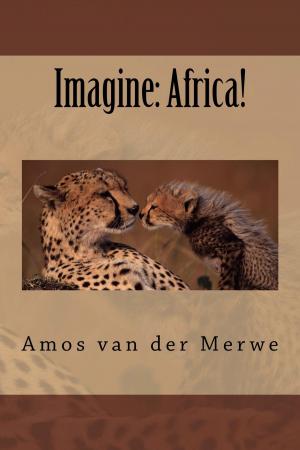 bigCover of the book Imagine: Africa! by 