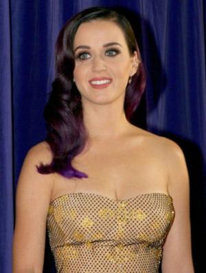 Cover of the book The Unofficial Katy Perry Biography by David Davis