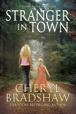 Cover of the book Stranger in Town by Ardy