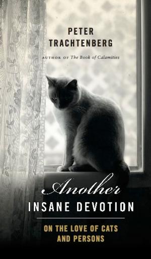 Cover of the book Another Insane Devotion by Nina Shandler