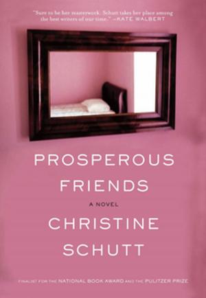 Cover of the book Prosperous Friends by Bradford Morrow
