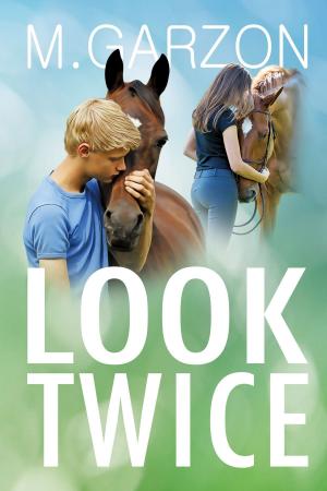 Cover of the book Look Twice by Sarah Morgan