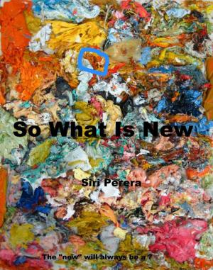 Cover of So What Is New