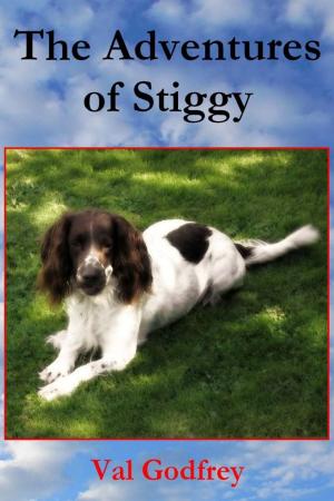 Cover of The Adventures of Stiggy