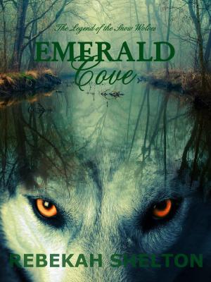 Cover of the book Emerald Cove by Casey Harvell