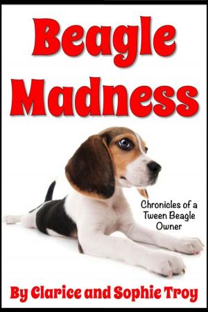 Book cover of Beagle Madness