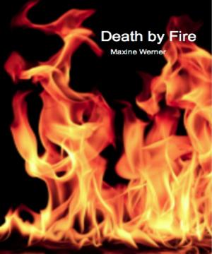 Cover of the book Death by Fire by Jane Roop