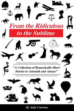 bigCover of the book From the Ridiculous to the Sublime by 
