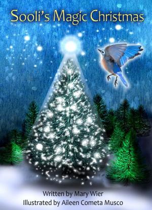 Cover of Sooli's Magic Christmas