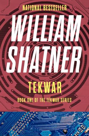 Cover of the book TekWar by Richie Tankersley Cusick