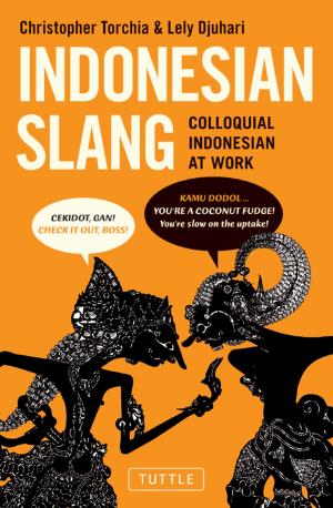 Book cover of Indonesian Slang