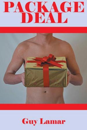 Cover of the book Package Deal by Bonnie J. Edwards