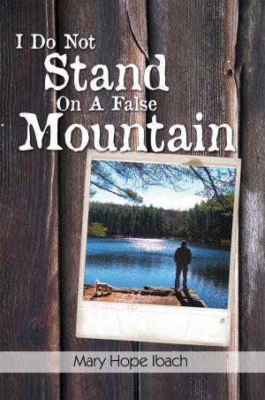 Cover of the book I Do Not Stand on a False Mountain by William Vincent
