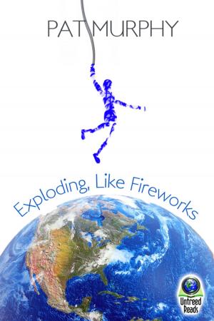 Cover of the book Exploding, Like Fireworks by Jacquelynn Luben