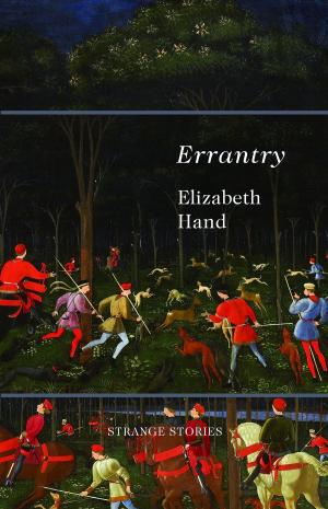 Cover of the book Errantry by Ayize Jama-Everett