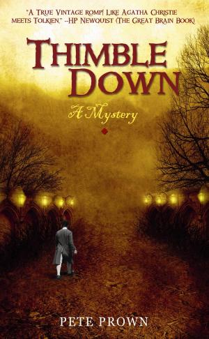 Cover of the book Thimble Down by David Burton
