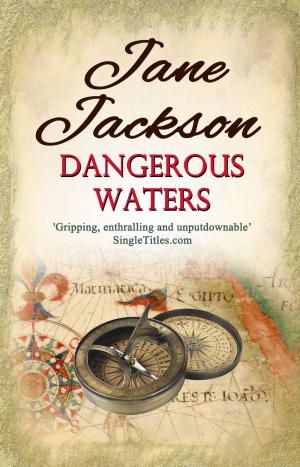 Cover of the book Dangerous Waters by Trish Moran