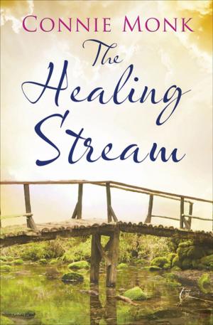 Cover of the book The Healing Stream by Amy Myers