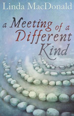 Cover of the book A Meeting of a Different Kind by Colin Baines