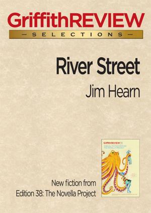 Cover of the book River Street by Susan Perrow