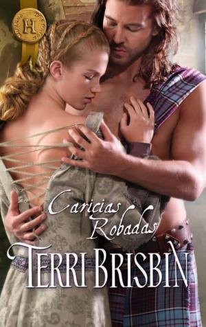 Cover of the book Caricias robadas by Joan Johnston, Cara Summers