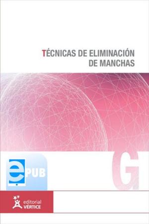 Cover of the book Videovigilancia: CCTV usando videos IP by Ana Campos San Martín