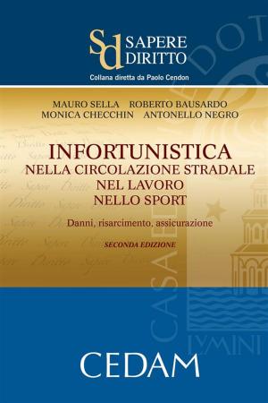 Cover of the book Infortunistica nella circolazione stradale nel lavoro nello sport by Paolo Passaglia, Michele Nisticò