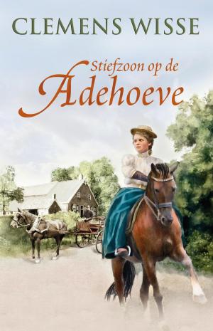 Cover of the book Stiefzoon op de adehoeve by Gerda van Wageningen