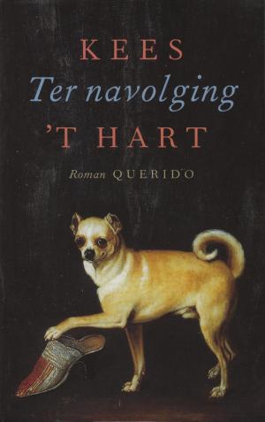 Cover of the book Ter navolging by Sara Blædel