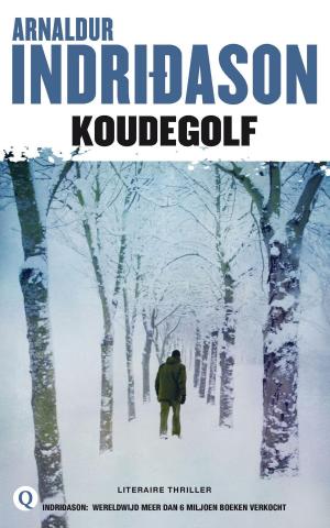 Cover of the book Koudegolf by Annejet van der Zijl