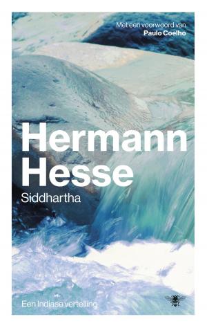 Cover of the book Siddhartha by Melanie Raabe